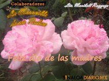 0madres