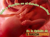 0vida