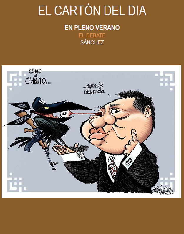 carton verano