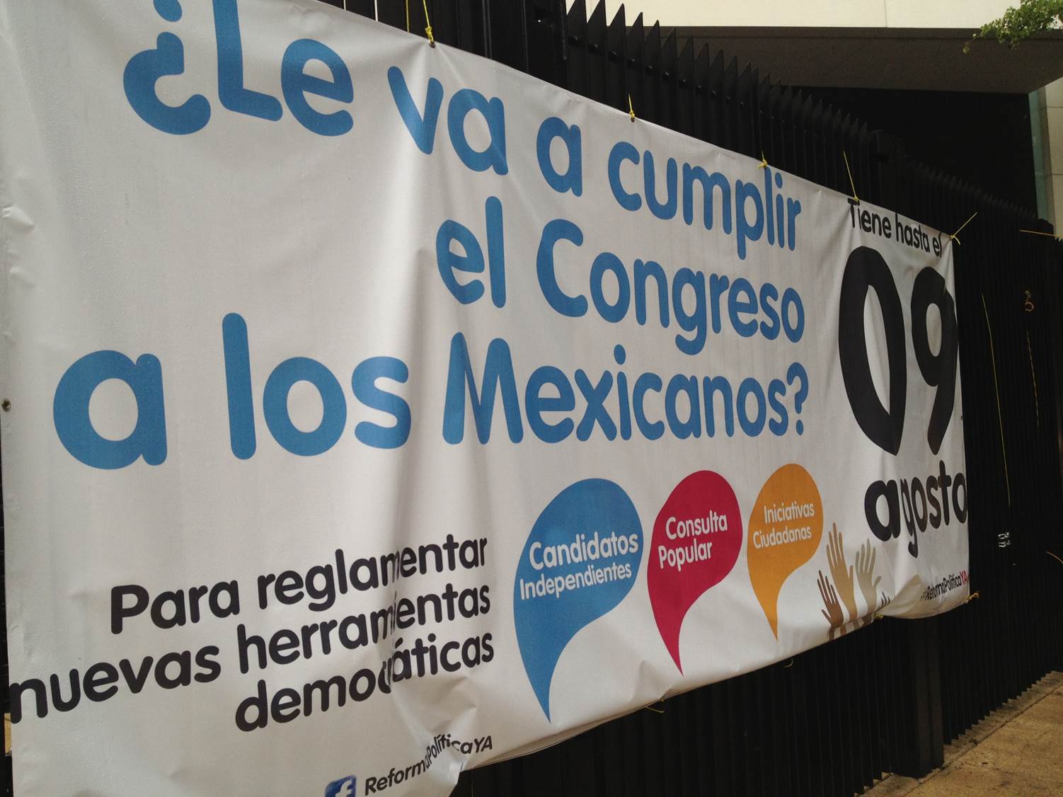 consulta