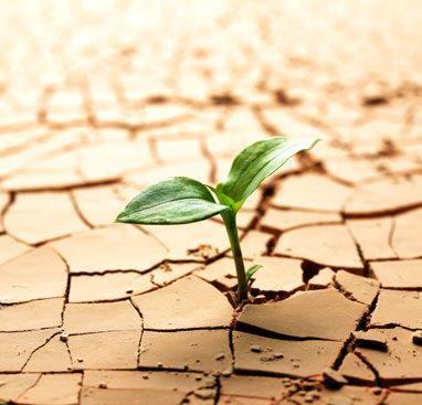 foto-resiliencia