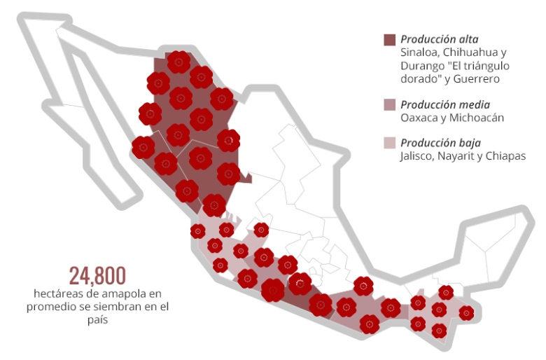 mapa-amapola